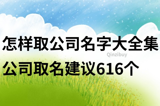 怎样取公司名字大全集,公司取名建议616个