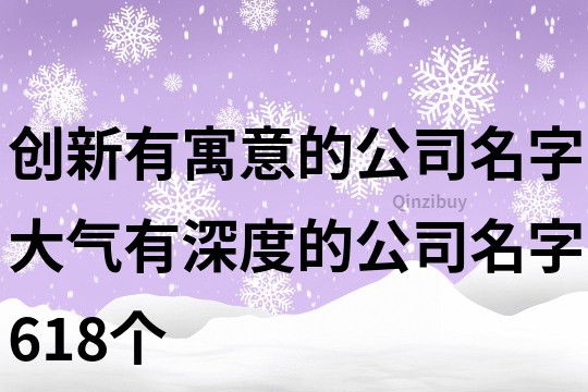 创新有寓意的公司名字,大气有深度的公司名字618个