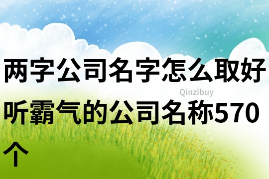 两字公司名字怎么取,好听霸气的公司名称570个