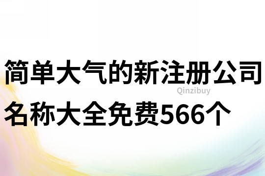 简单大气的新注册公司名称大全免费566个