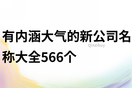 有内涵大气的新公司名称大全566个