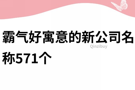 霸气好寓意的新公司名称571个