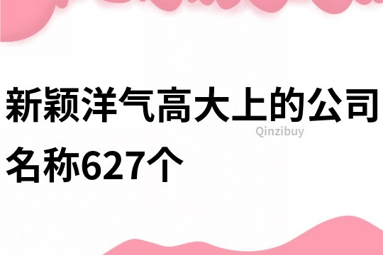 新颖洋气高大上的公司名称627个