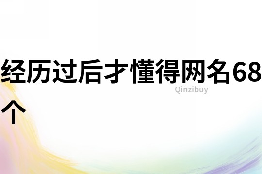 经历过后才懂得网名68个