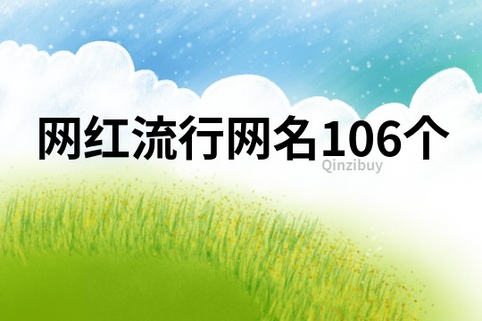 网红流行网名106个