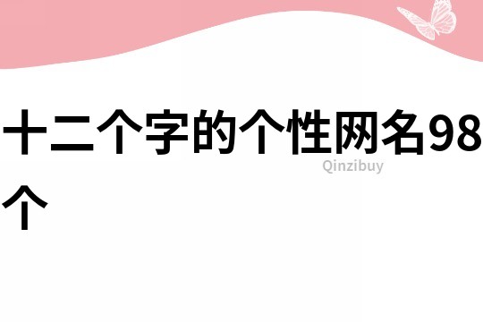 十二个字的个性网名98个