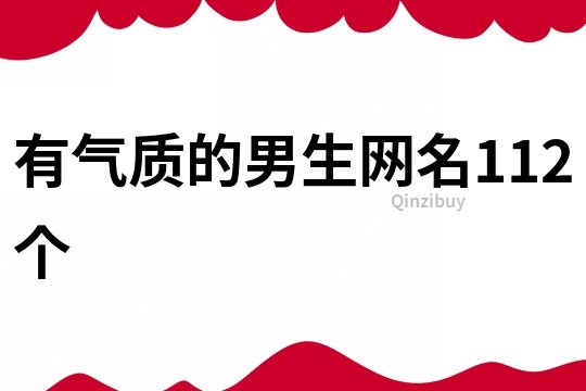 有气质的男生网名112个