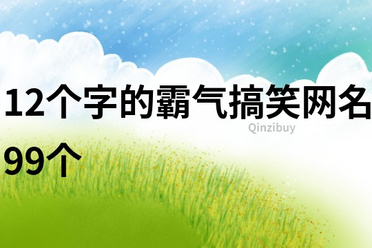 12个字的霸气搞笑网名99个