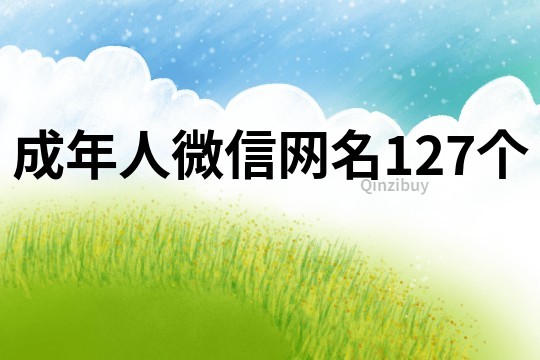 成年人微信网名127个