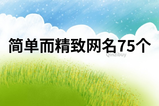 简单而精致网名75个