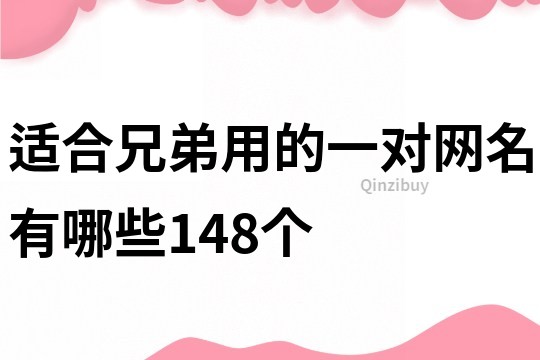 适合兄弟用的一对网名有哪些148个