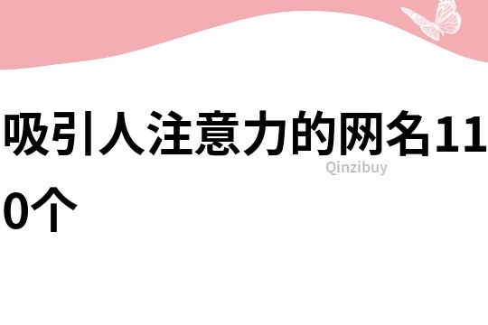 吸引人注意力的网名110个