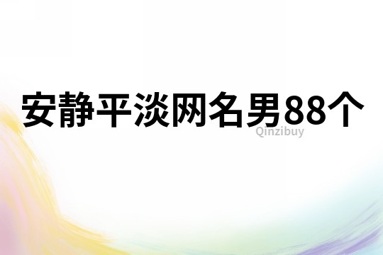 安静平淡网名男88个