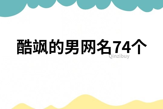 酷飒的男网名74个