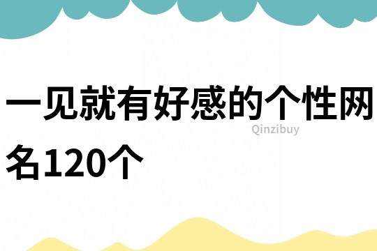 一见就有好感的个性网名120个