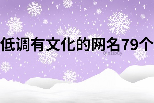 低调有文化的网名79个