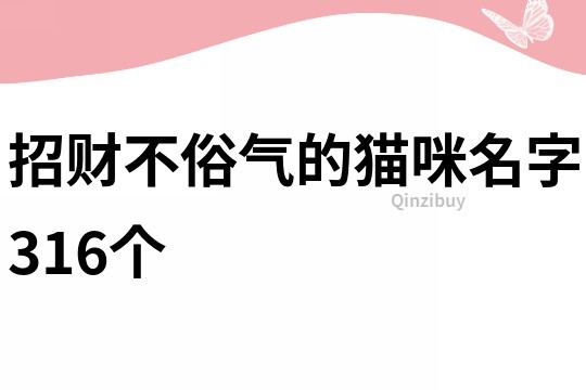 招财不俗气的猫咪名字316个