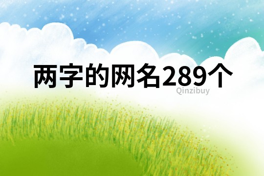 两字的网名289个