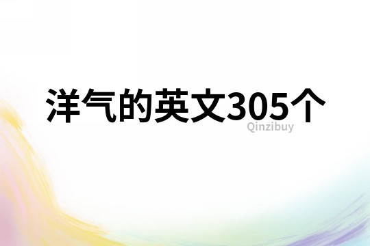 洋气的英文305个