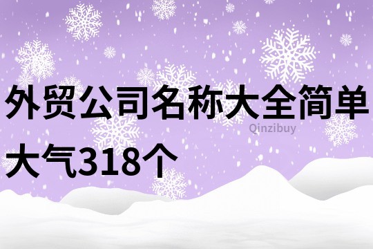 外贸公司名称大全简单大气318个