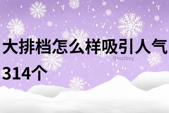 大排档怎么样吸引人气314个