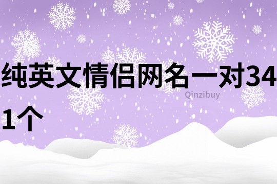 纯英文情侣网名一对341个