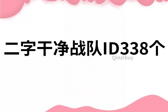 二字干净战队ID338个