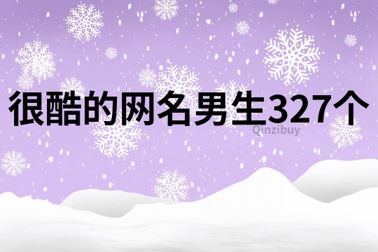 很酷的网名男生327个