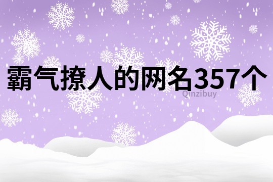 霸气撩人的网名357个