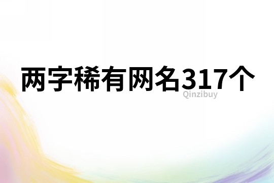 两字稀有网名317个