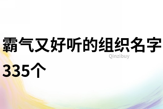 霸气又好听的组织名字335个