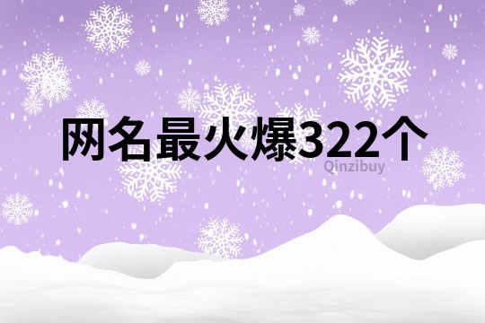 网名最火爆322个