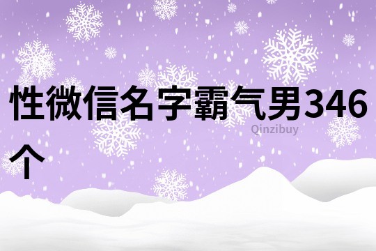 性微信名字霸气男346个