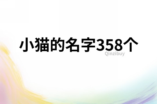 小猫的名字358个