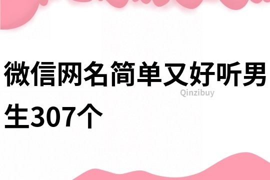 微信网名简单又好听男生307个