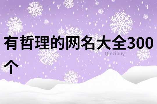 有哲理的网名大全300个