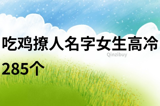 吃鸡撩人名字女生高冷285个