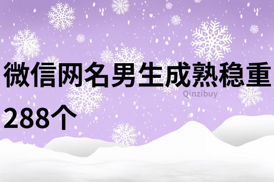 微信网名男生成熟稳重288个