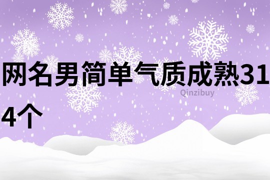 网名男简单气质成熟314个