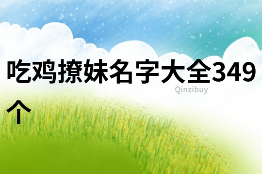 吃鸡撩妹名字大全349个