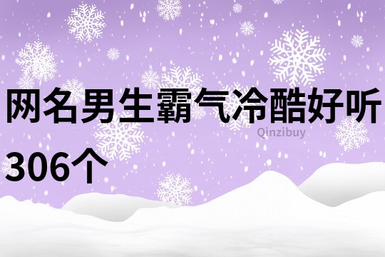 网名男生霸气冷酷好听306个