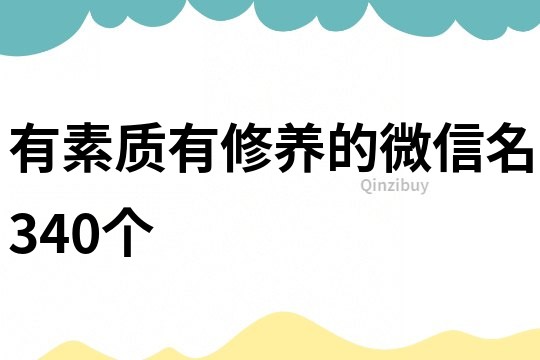 有素质有修养的微信名340个