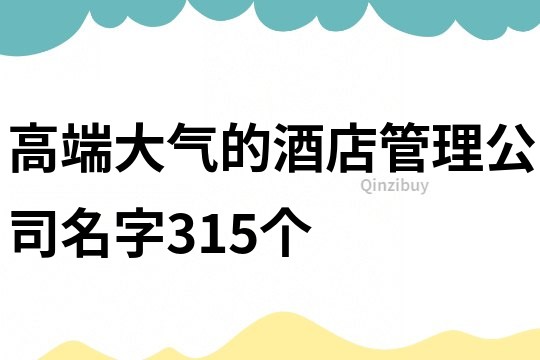 高端大气的酒店管理公司名字315个