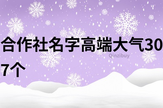 合作社名字高端大气307个