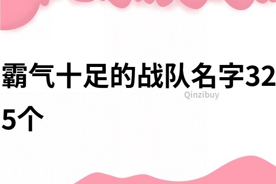 霸气十足的战队名字325个