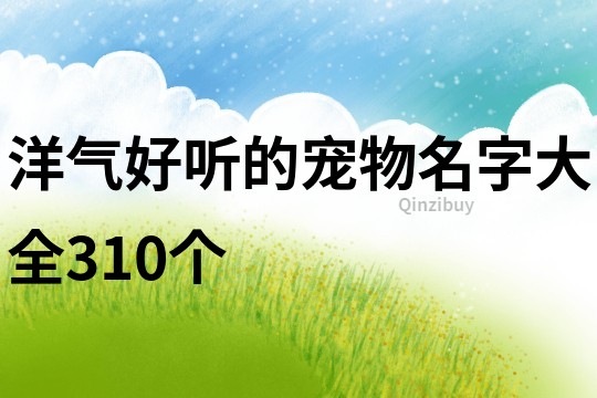 洋气好听的宠物名字大全310个